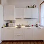 Royal Widmann Apartment *